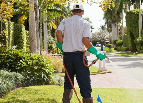 About Nocona TX Pest Control